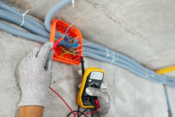 Best Electric Panel Repair  in Crane, TX